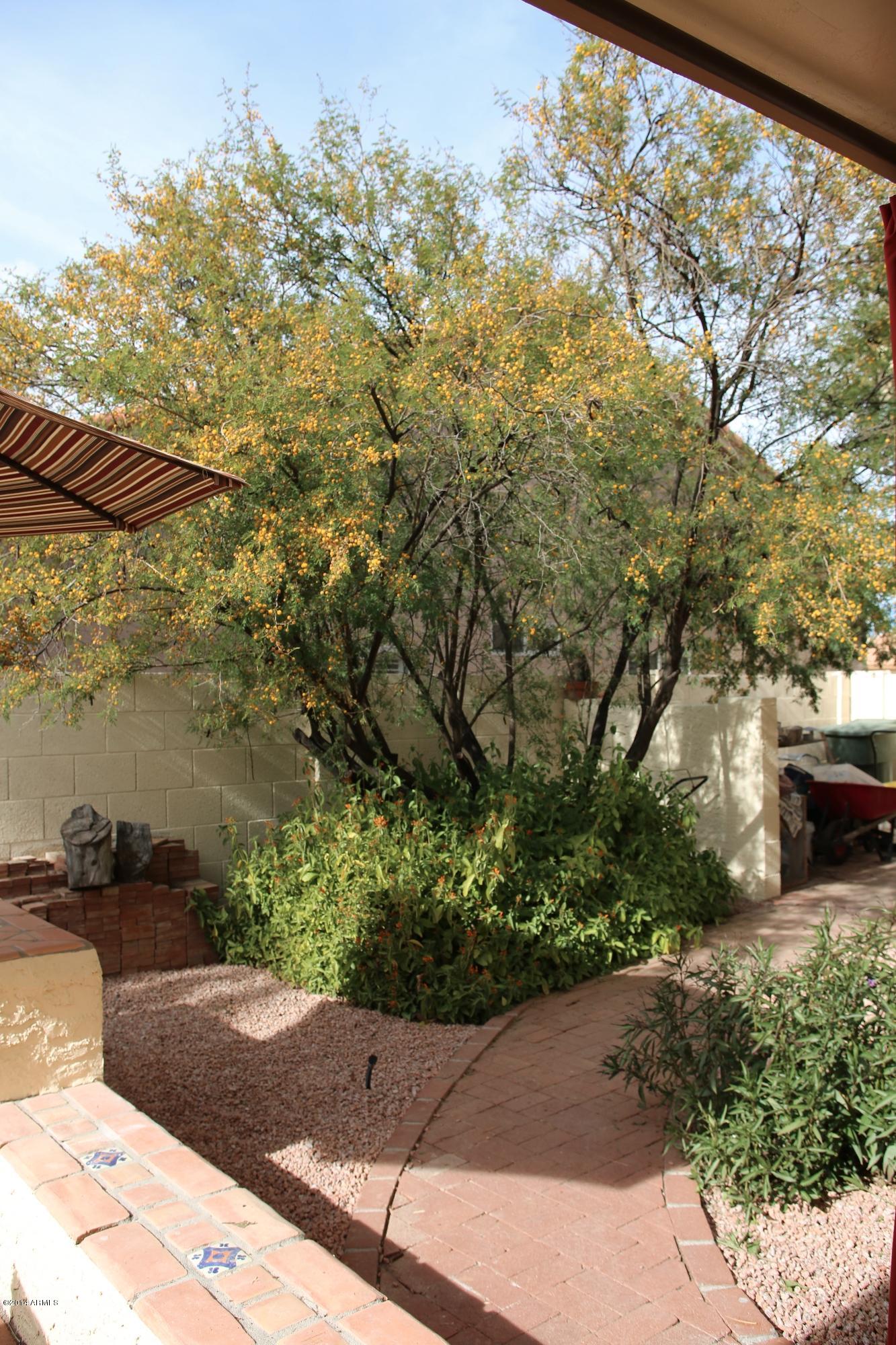 283 East Rhea Road Tempe, AZ 85284 - Photo 30 of 36 446B9382