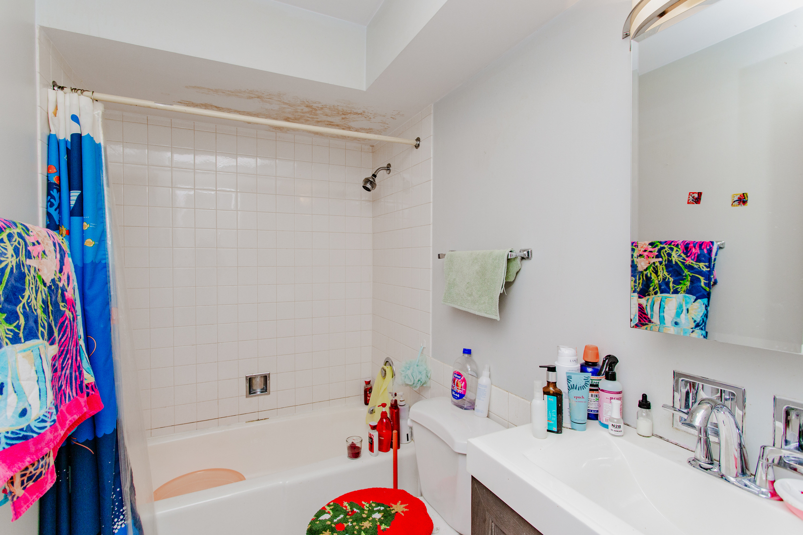 300 Thames Parkway, Unit 1C Park Ridge, IL 60068 - Photo 16 of 19 a bathroom with a sink mirror and vanity