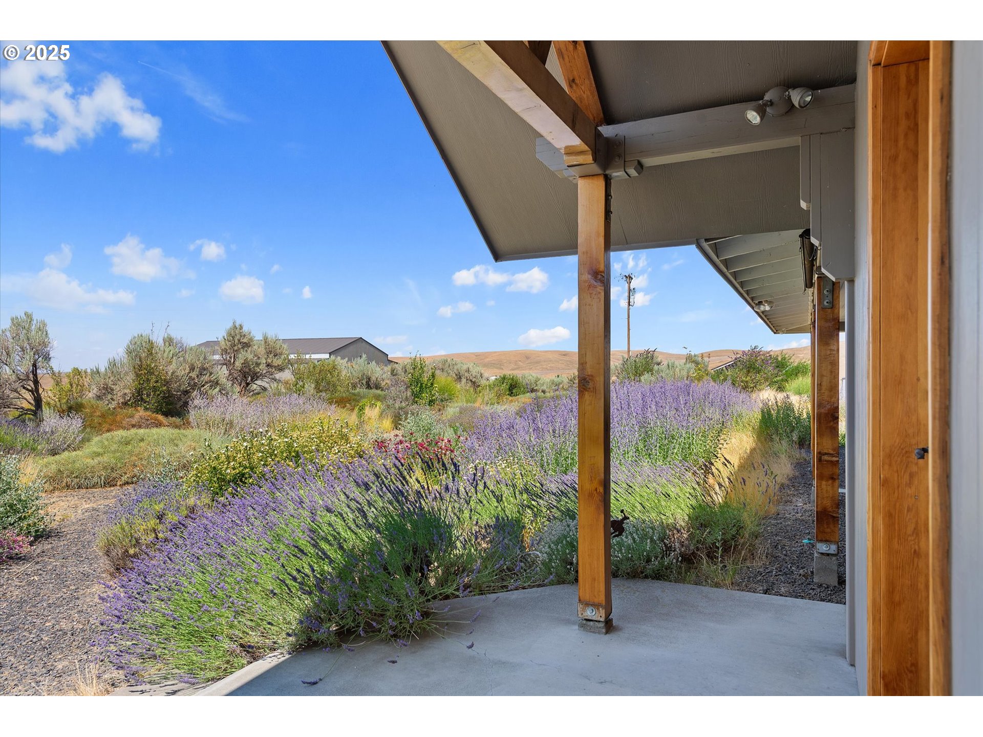 64209 Meadow Brook Road Lexington, OR 97839 - Photo 31 of 48 a view of a outdoor space