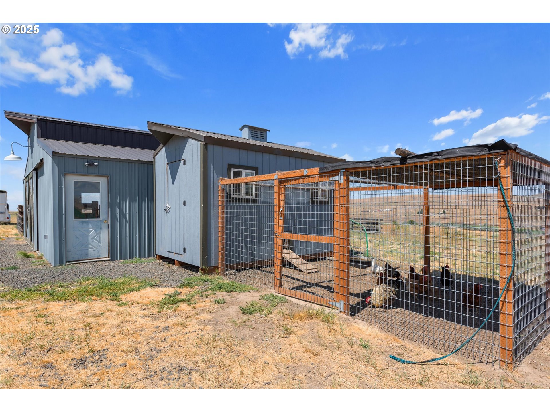 64209 Meadow Brook Road Lexington, OR 97839 - Photo 41 of 48 a view of a backyard