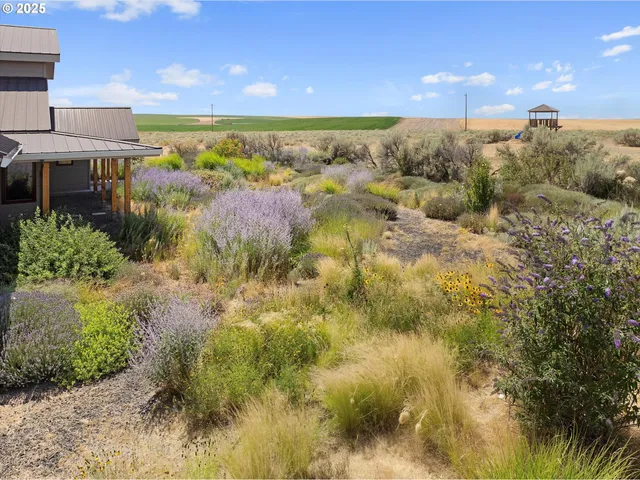 a view of a dry yard with wooden fence