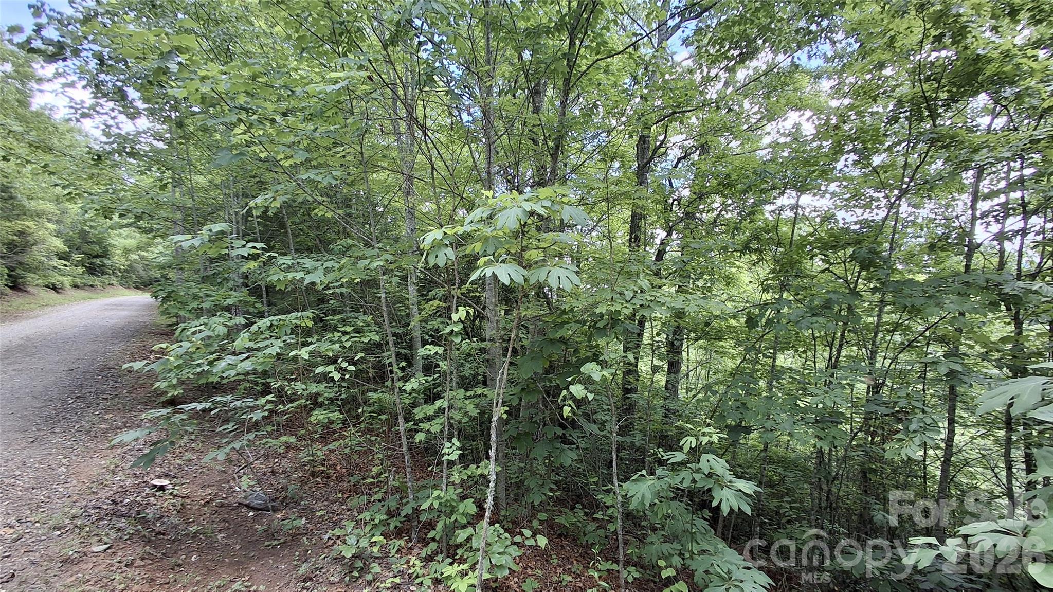 Lot 29 Signal Ridge, Unit 29 Sylva, NC 28779 - Photo 12 of 12
