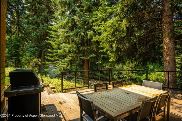 $95,000 | 575 Sneaky Lane, Aspen, CO 81611