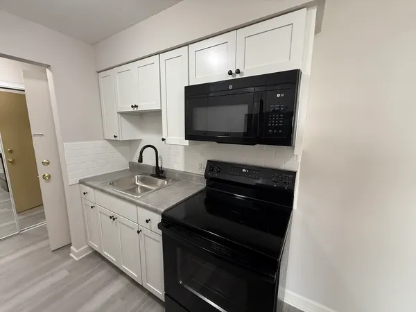 $1,450 | 7300 West North Avenue, Unit 2J, Elmwood Park, IL 60707