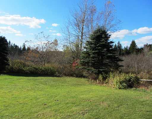 331 Port Clyde Road Tenants Harbor, ME 04860 - Photo 5 of 25 Yard/Garden.
