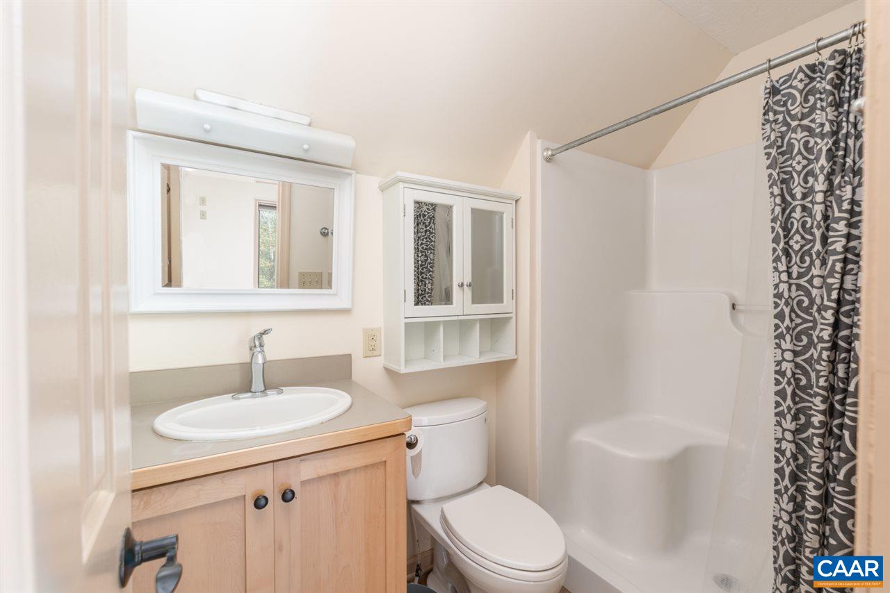 4365 Taylor Creek Road Afton, VA 22920 - Photo 26 of 49 a bathroom with a sink toilet and shower