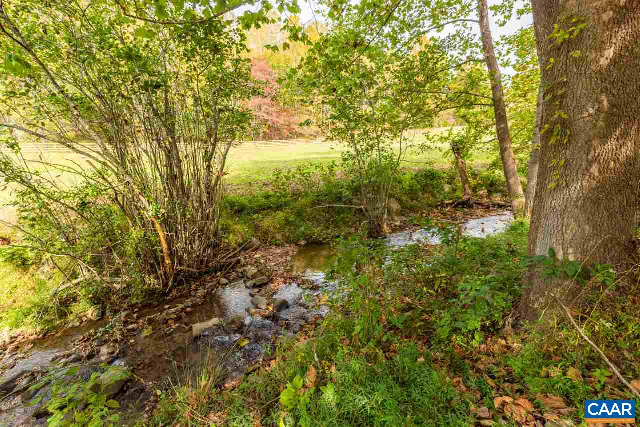 4365 Taylor Creek Road Afton, VA 22920 - Photo 35 of 49 a view of a yard with large trees