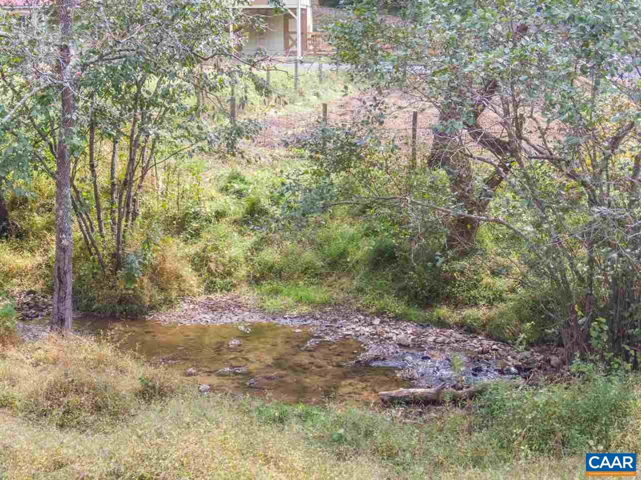 4365 Taylor Creek Road Afton, VA 22920 - Photo 6 of 49 a view of a yard with trees