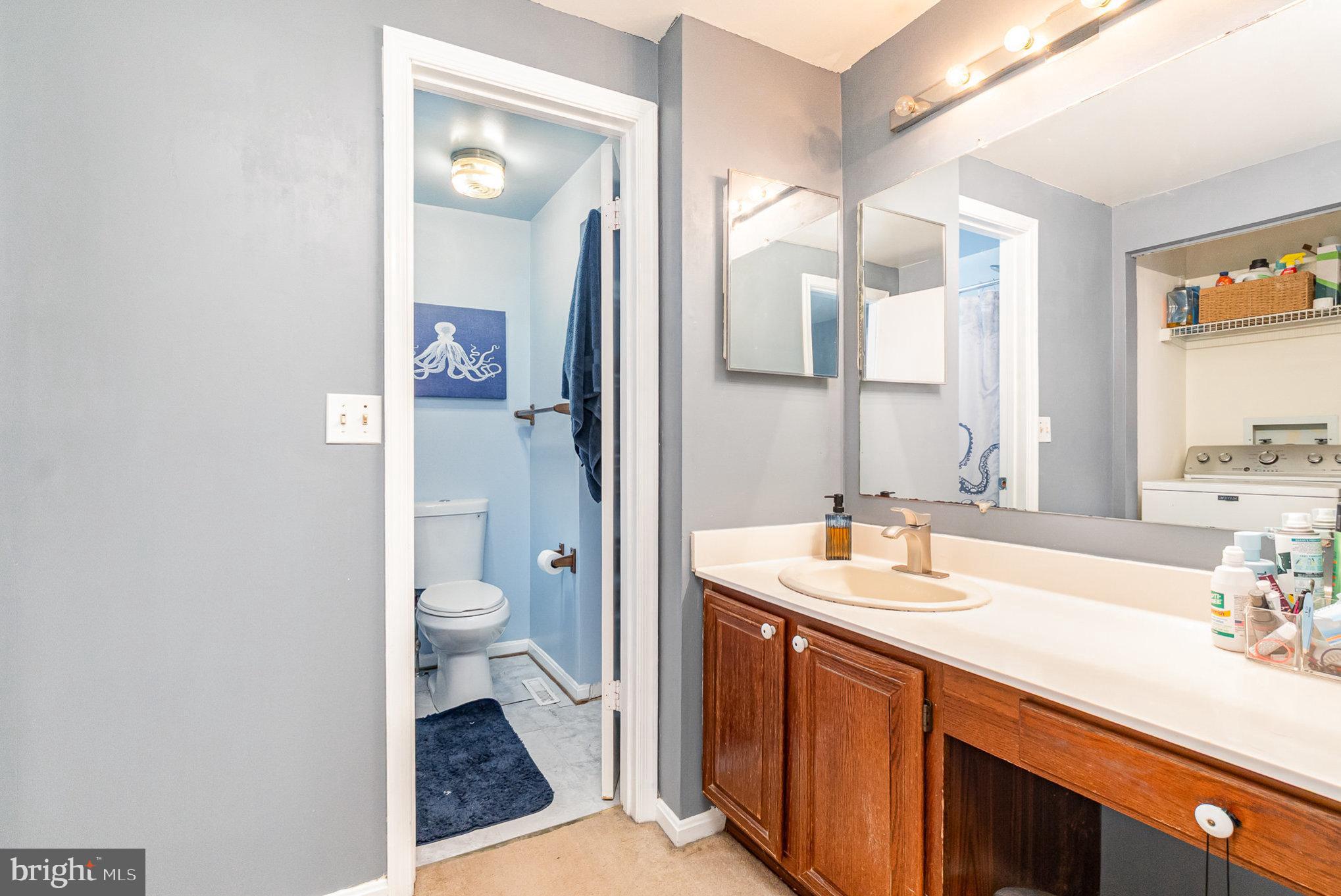 1213 Brice Square Belcamp, MD 21017 - Photo 19 of 23 a bathroom with a sink a toilet and shower