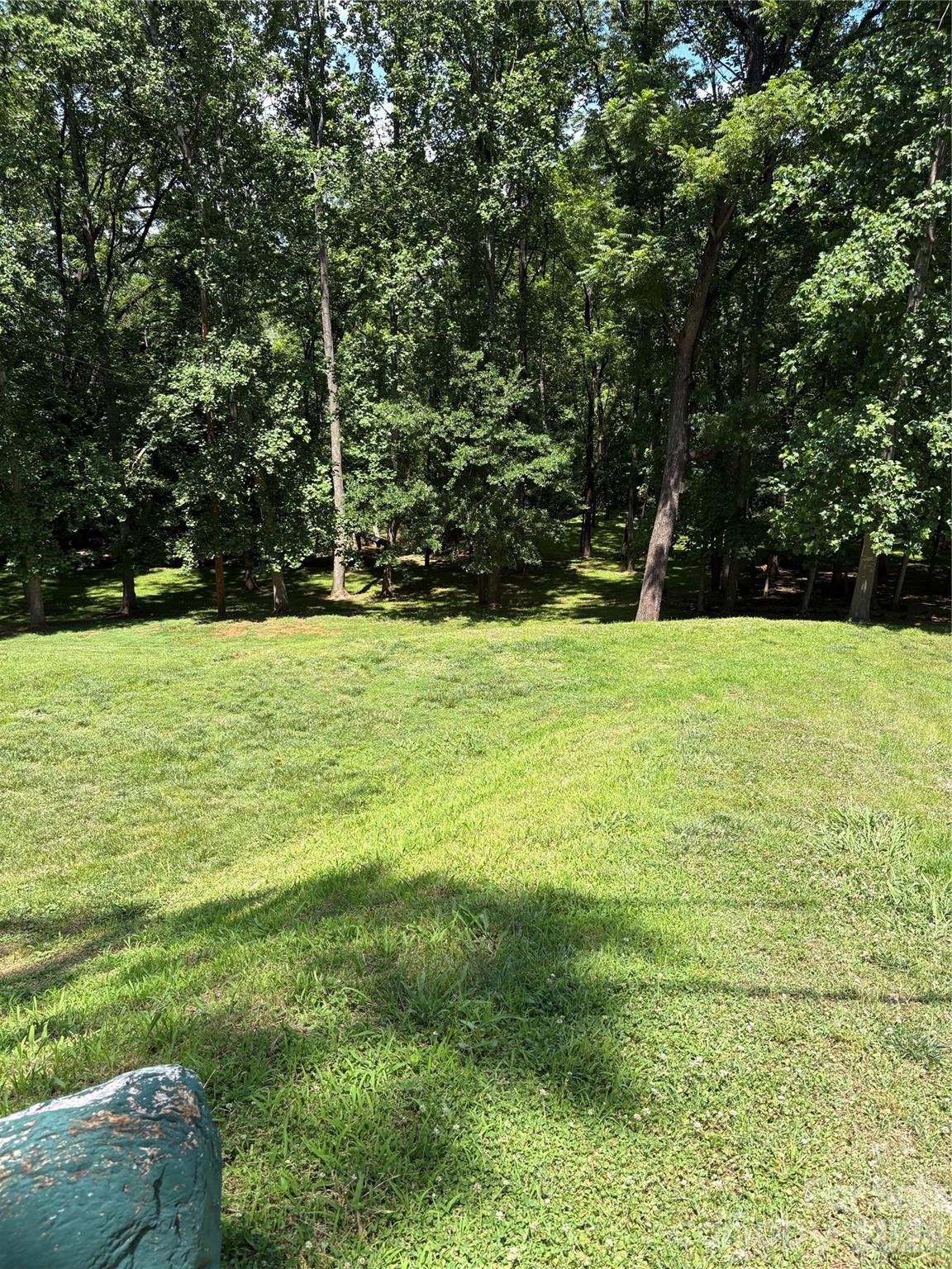 125 Lane Street Morganton, NC 28655 - Photo 3 of 19