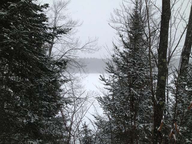 38-acres Hilts Lake Road Rhinelander, WI 54501 - Photo 5 of 14 Gallery Image 5