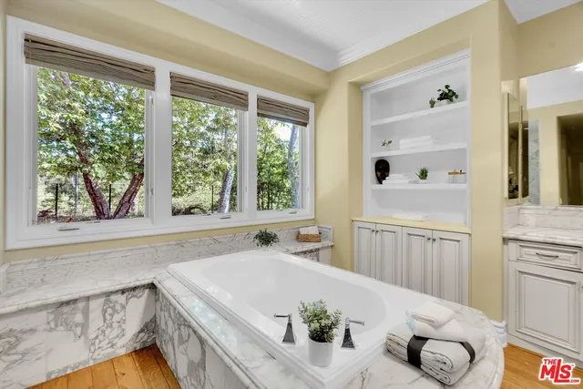 a view of a yard with plants and large trees