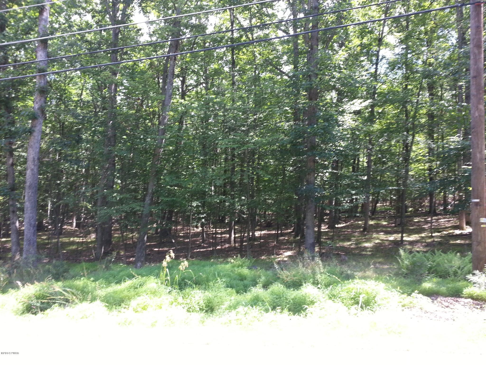 220 Oak Hill Road Hawley, PA 18428 - Photo 2 of 7