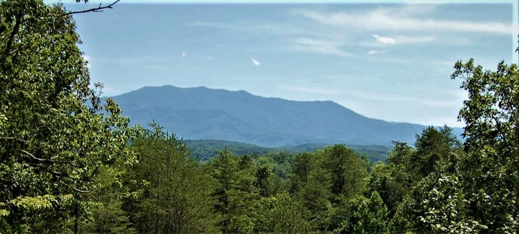 0 Maples Branch Road Sevierville, TN 37876 - Photo 1 of 9