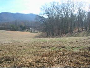 Tbd Ralph Hoss Road, Unit 3 Jonesborough, TN 37659 - Photo 2 of 2 Photo 2