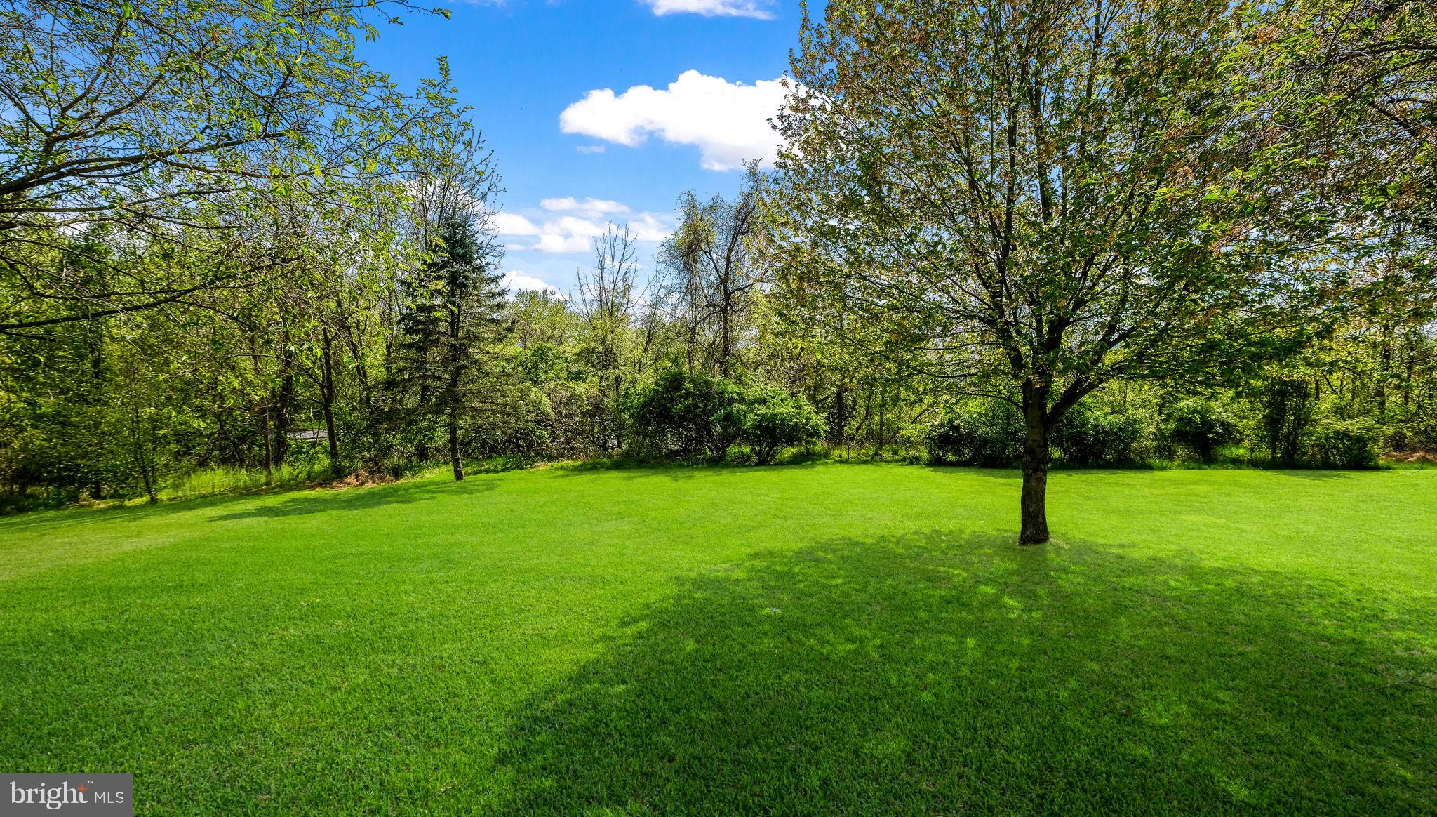 4504 Old Oak Road Doylestown, PA 18902 - Photo 3 of 40 Who has a rear view? You will!