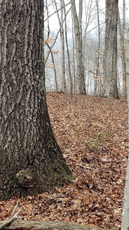833 Calahaln Road Mocksville, NC 27028 - Photo 8 of 15 Mature red & white oaks