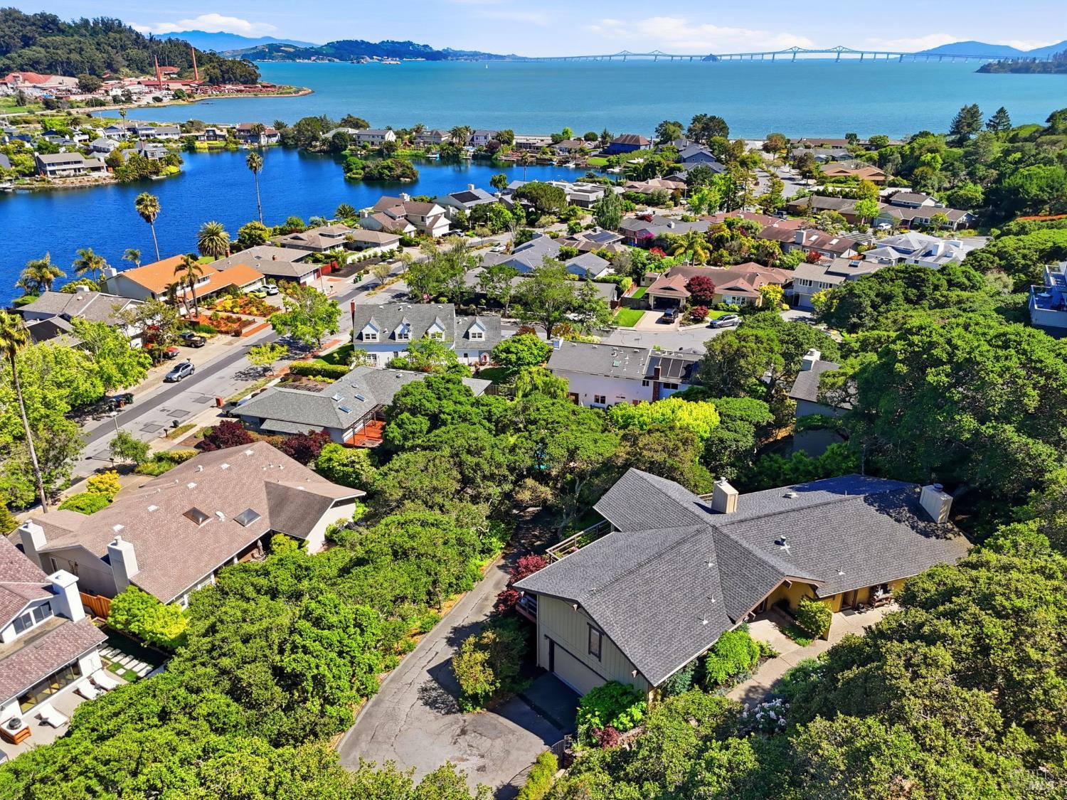 81 Peacock Drive San Rafael, CA 94901 - Photo 2 of 44