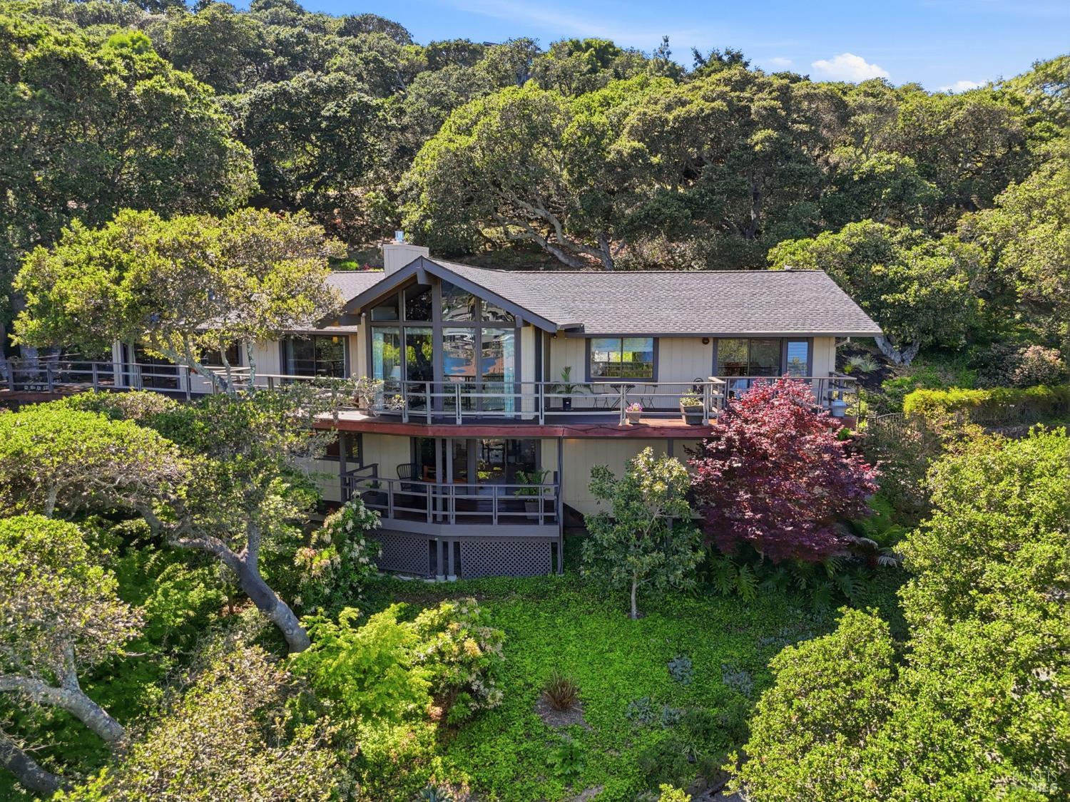 81 Peacock Drive San Rafael, CA 94901 - Photo 36 of 44