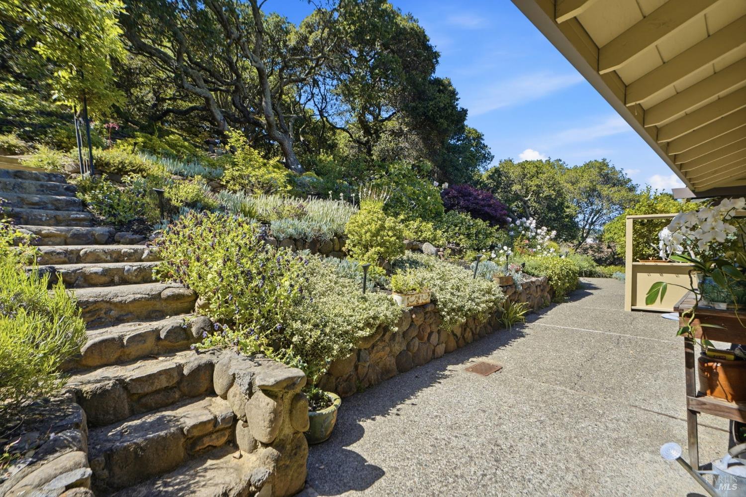 81 Peacock Drive San Rafael, CA 94901 - Photo 41 of 44