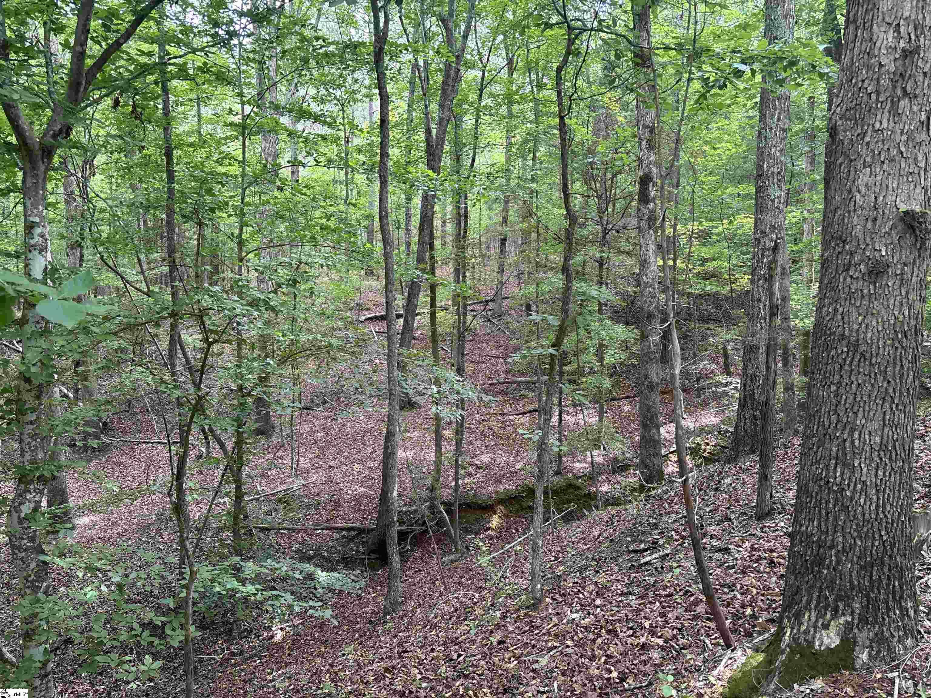 1087 Bobby Faucette Road Jonesville, SC 29353 - Photo 11 of 47