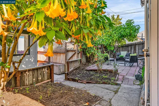 a view of a chair and table in backyard with potted plants
