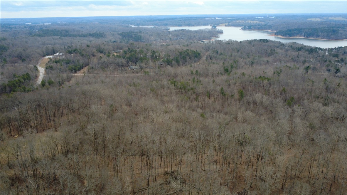 424 Rock Hill Road Fair Play, SC 29643 - Photo 3 of 14