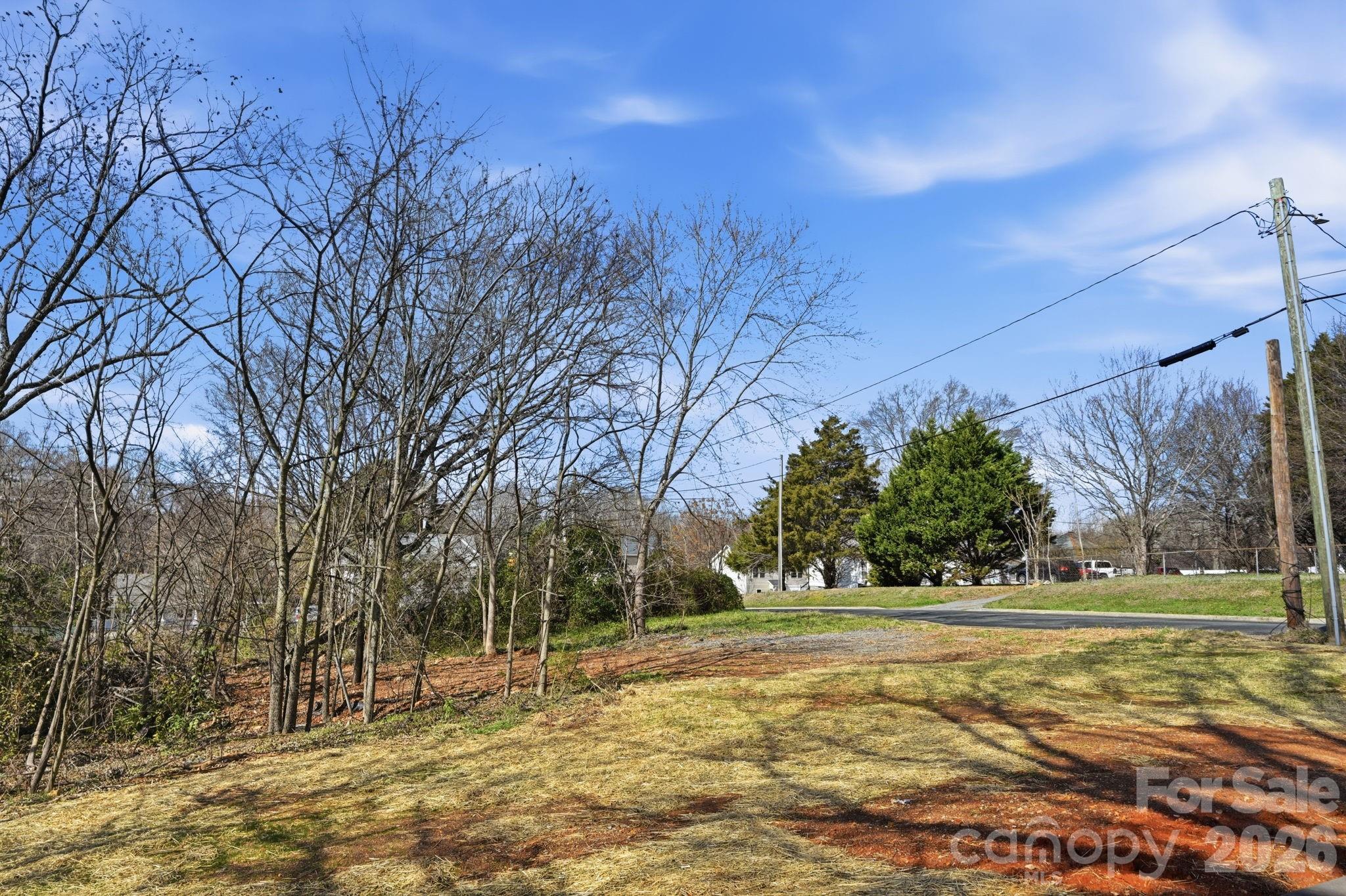 509 Beard Street Monroe, NC 28110 - Photo 31 of 33 a view of yard with tree