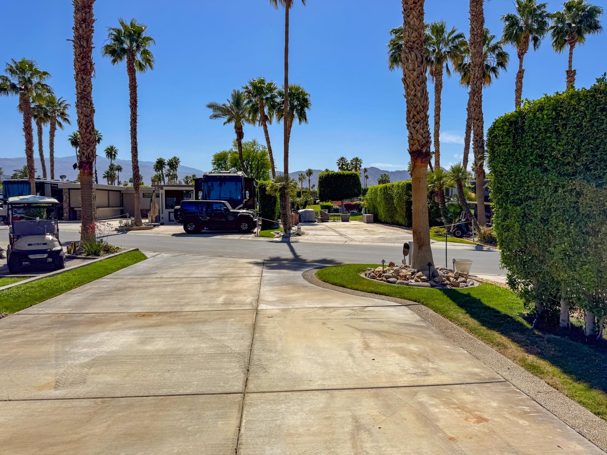 80394 Ave 48, Unit 99 Indio, CA 92201 - Photo 11 of 13 a row of palm trees sitting in a yard with palm trees