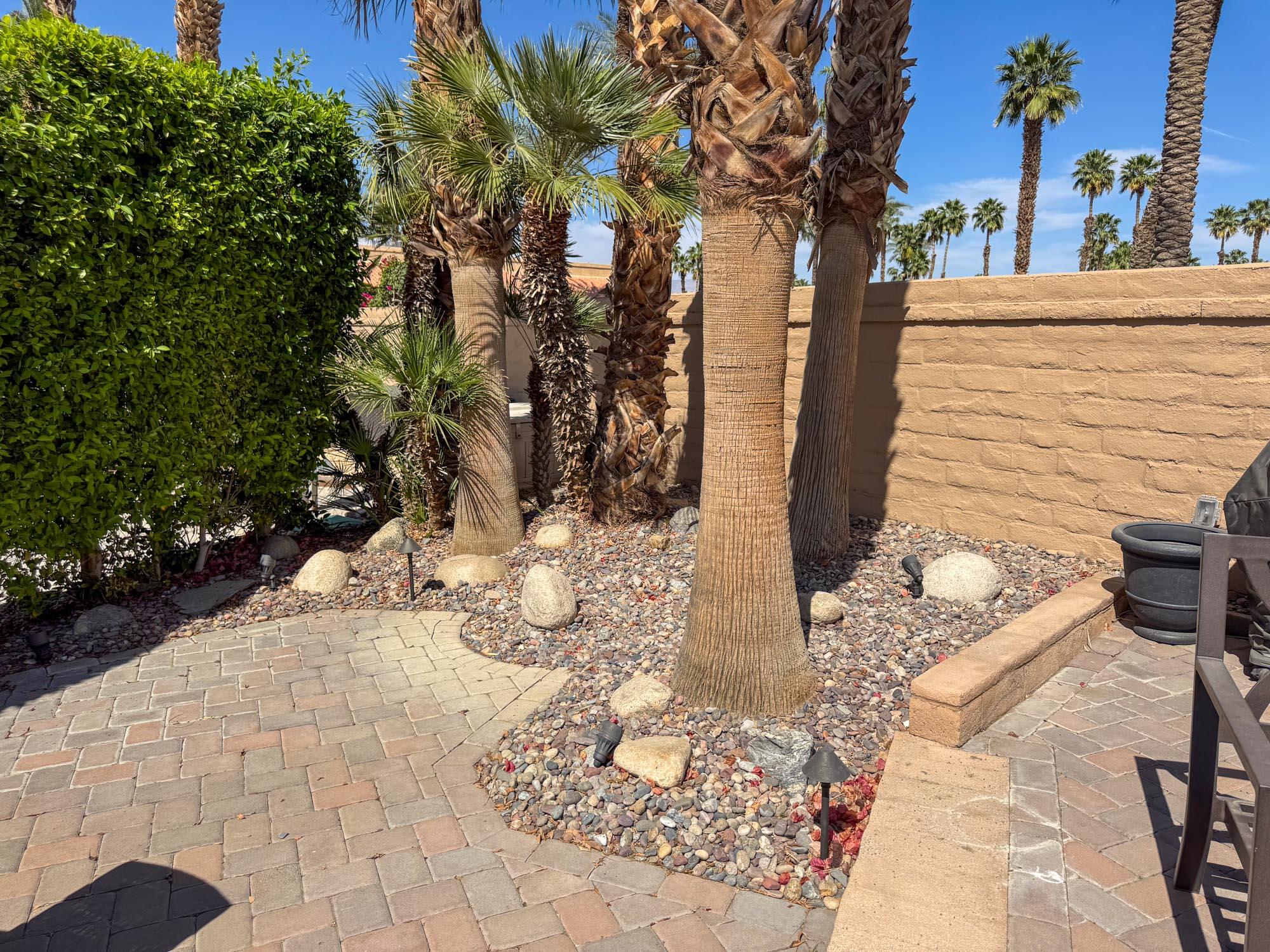 80394 Ave 48, Unit 99 Indio, CA 92201 - Photo 6 of 13 a view of a backyard of the house