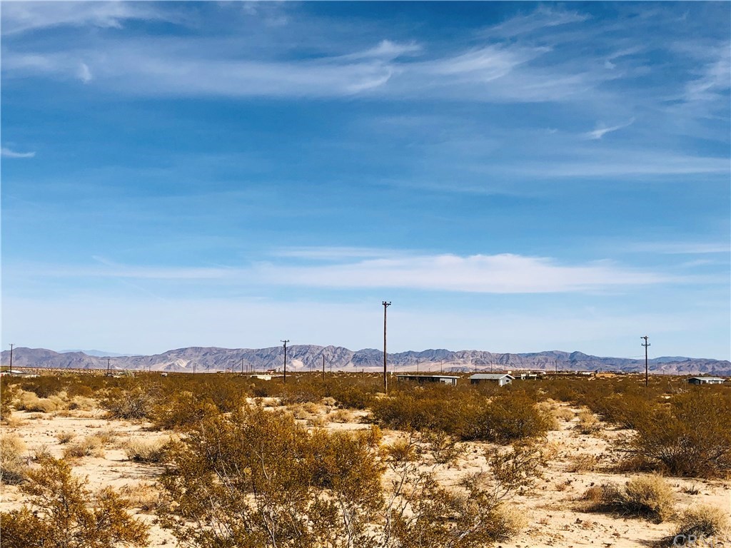 65251 Mars Street Joshua Tree, CA 92252 - Photo 1 of 1