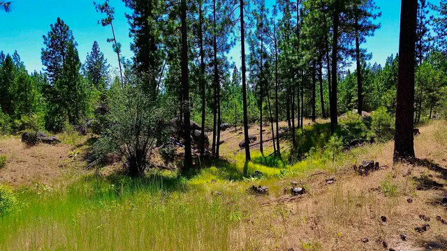 $145,000 | 5687-bb Corkscrew Canyon Road, Tumtum, WA 99034