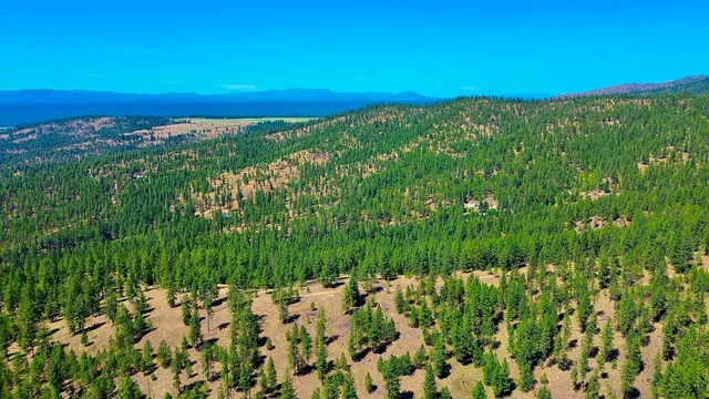 $145,000 | 5687-bb Corkscrew Canyon Road, Tumtum, WA 99034