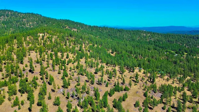 $145,000 | 5687-bb Corkscrew Canyon Road, Tumtum, WA 99034