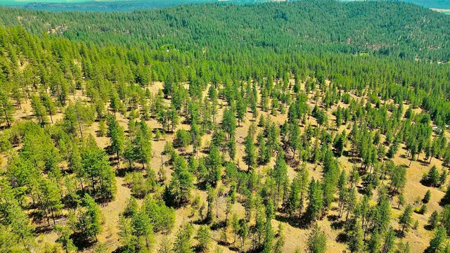 $145,000 | 5687-bb Corkscrew Canyon Road, Tumtum, WA 99034