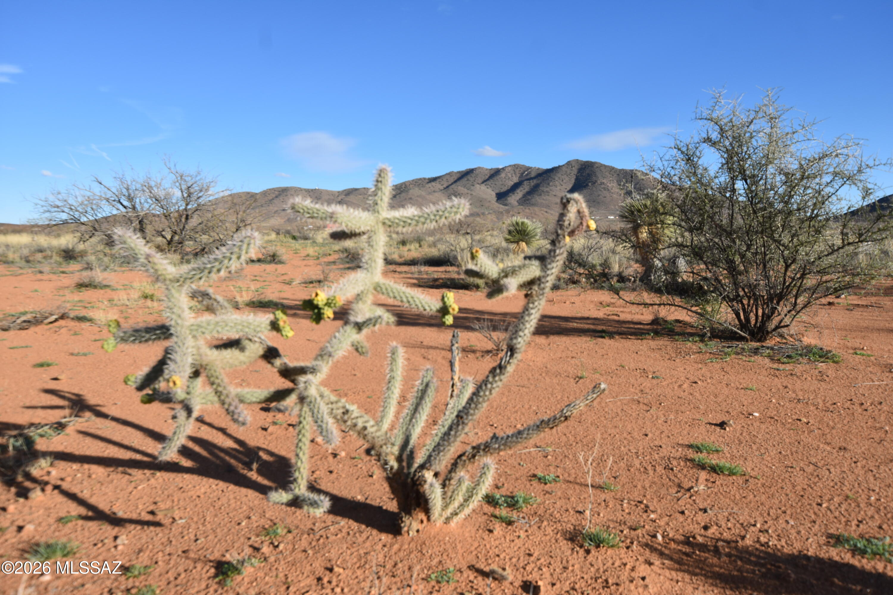 East Howling Wolf Road Willcox, AZ 85643 - Photo 20 of 49