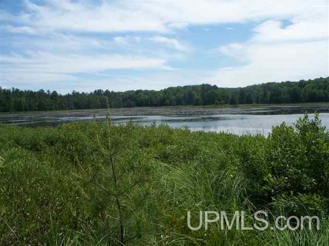 N3189 Buckhorn Road Wetmore, MI 49895 - Photo 2 of 26