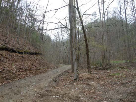 Hembree Hollow Road Townsend, TN 37882 - Photo 2 of 8 061.JPG