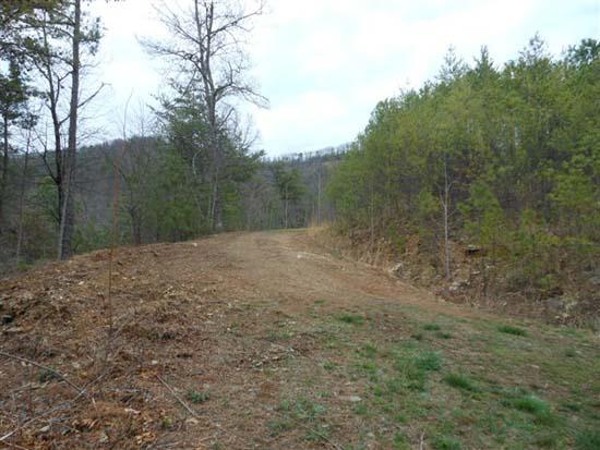 Hembree Hollow Road Townsend, TN 37882 - Photo 3 of 8 064.JPG