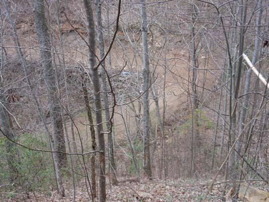 Hembree Hollow Road Townsend, TN 37882 - Photo 4 of 8 068.JPG