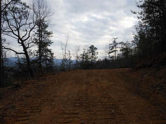 Hembree Hollow Road Townsend, TN 37882 - Photo 5 of 8 082.JPG