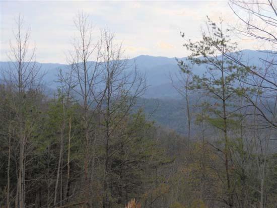Hembree Hollow Road Townsend, TN 37882 - Photo 6 of 8 085.JPG