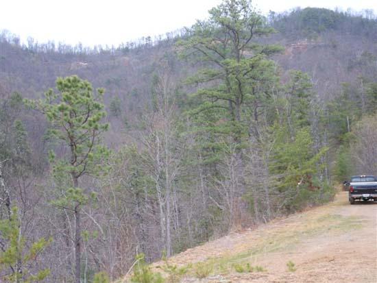 Hembree Hollow Road Townsend, TN 37882 - Photo 7 of 8 088.JPG