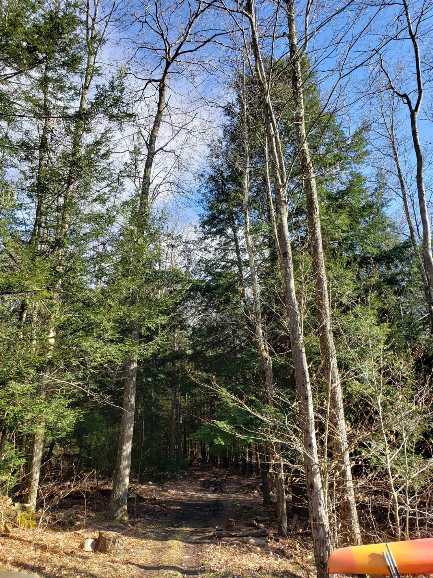 250 Bauer Road Sand Lake, NY 12153 - Photo 51 of 52 Photo 51