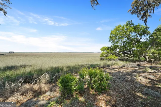 $749,000 | 1629 Eagle Neck Drive Northeast, Townsend, GA 31331