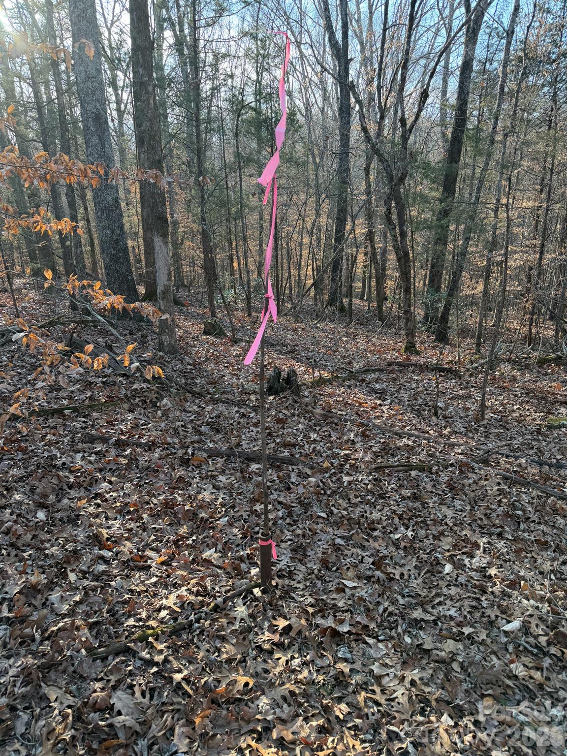 0 Kepley Road Salisbury, NC 28147 - Photo 11 of 18 a view of a yard with a tree