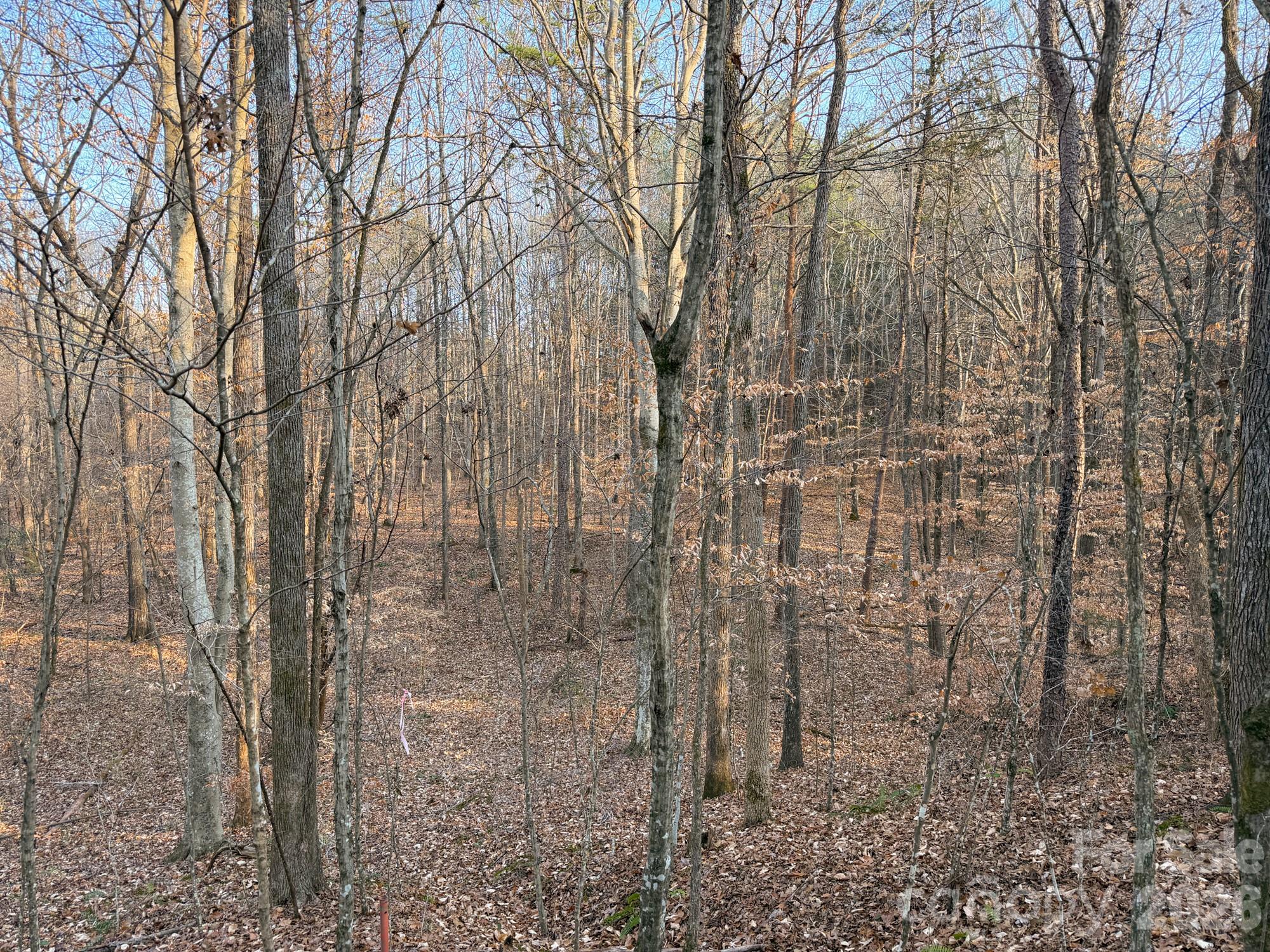 0 Kepley Road Salisbury, NC 28147 - Photo 12 of 18 a view of a backyard of the house