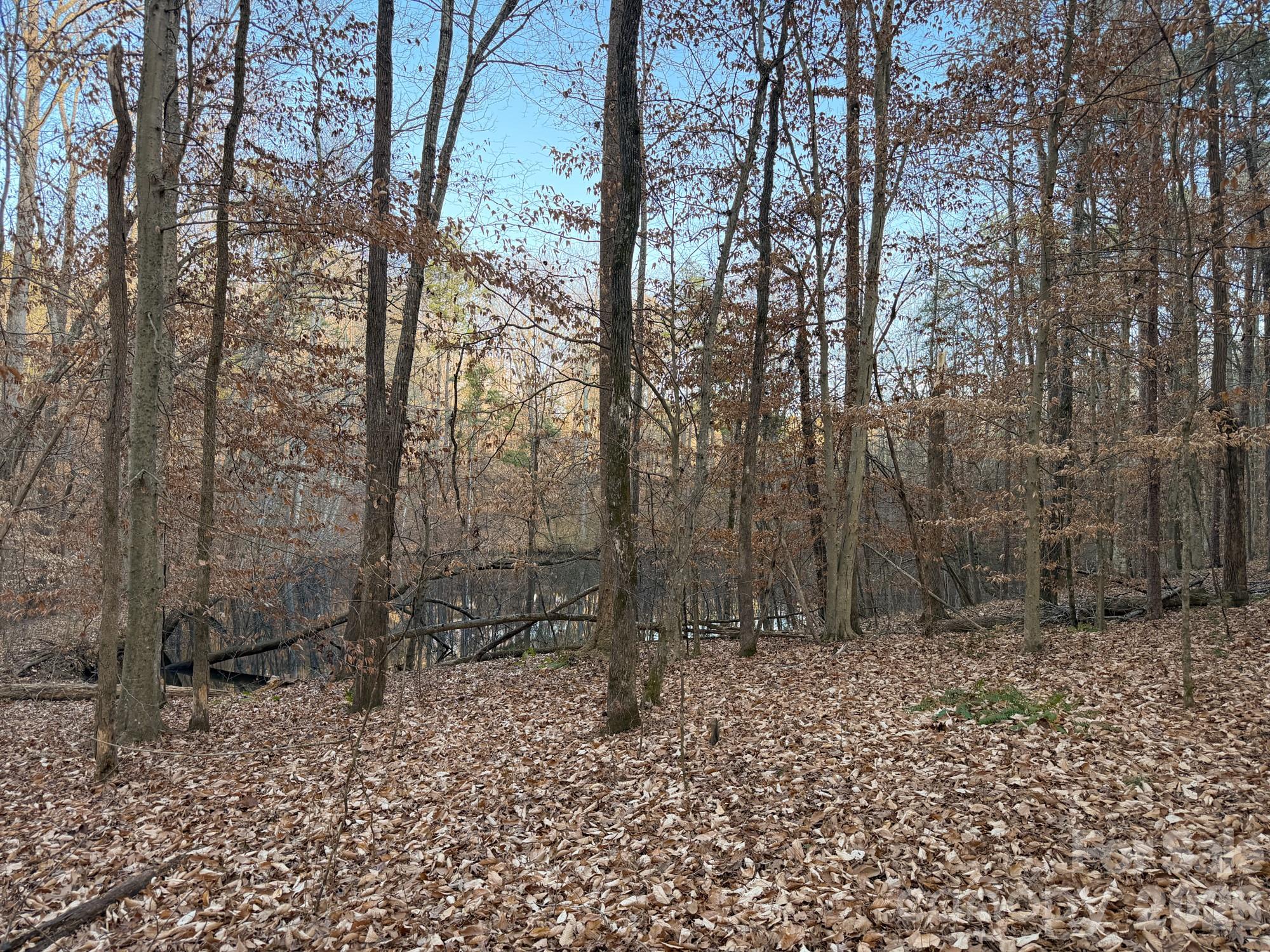 0 Kepley Road Salisbury, NC 28147 - Photo 14 of 18 a backyard of a house with lots of green space