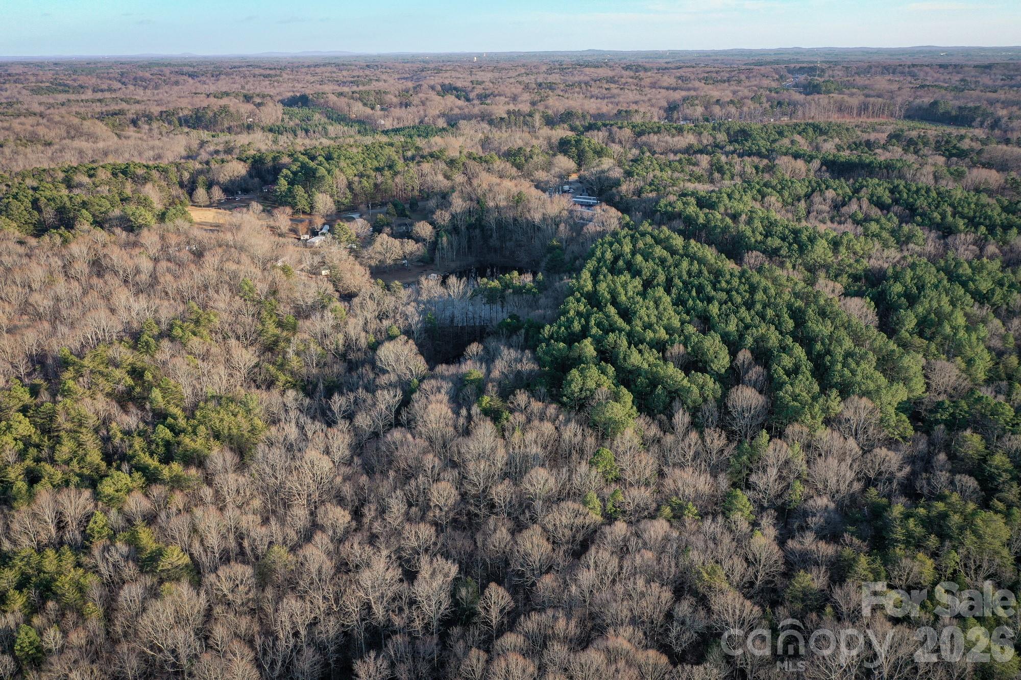 0 Kepley Road Salisbury, NC 28147 - Photo 16 of 18 a view of a forest with a street