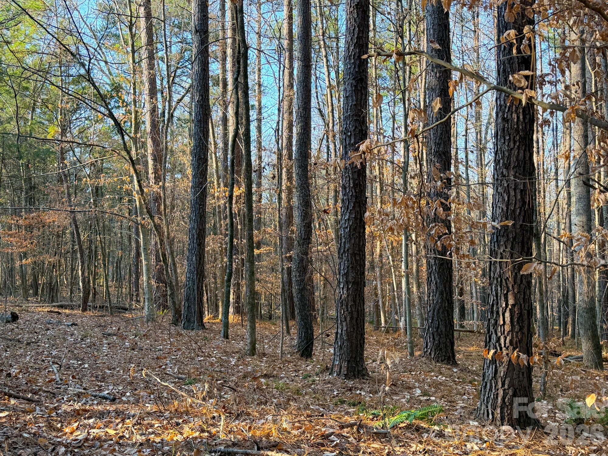 0 Kepley Road Salisbury, NC 28147 - Photo 5 of 18 a backyard of a house with lots of green space